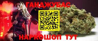 ешки Новодвинск