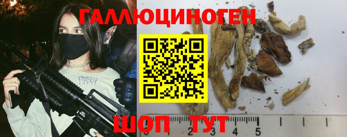 Нефтекумск  Галлюциногенные грибы GOLDEN TEACHER  Галлюциногенные грибы ЛСД  Вход с VPN 
